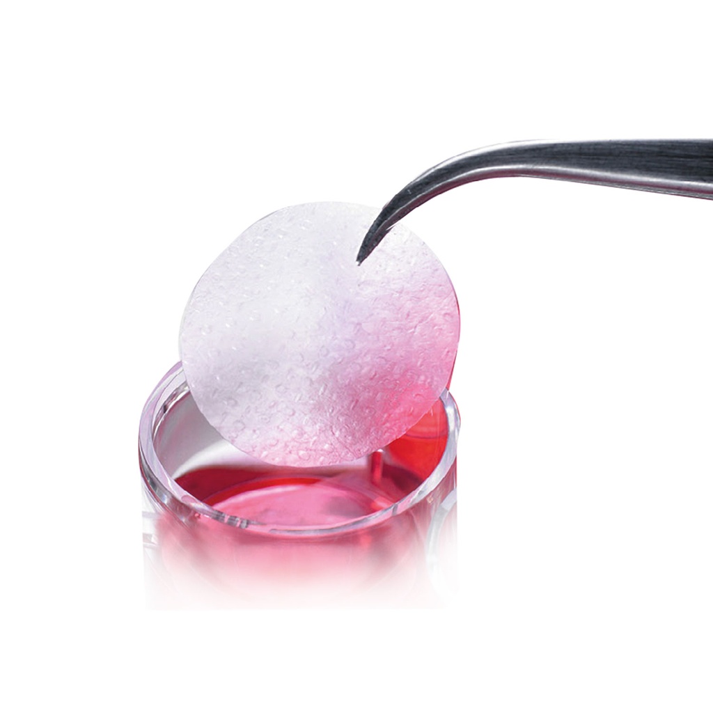 [DK]Kollagen membran, 100 µm